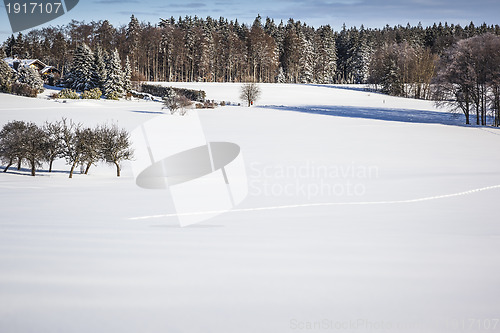 Image of winter scenery