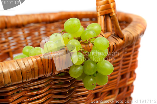 Image of apples and grapes