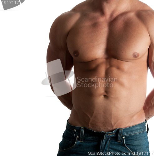 Image of bodybuilder