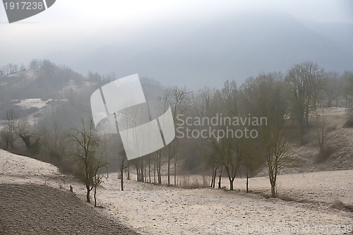 Image of Icy winter scene