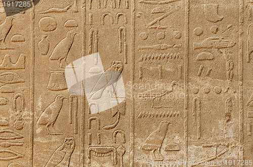 Image of Ancient egypt hieroglyphs