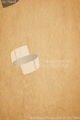 Image of leather