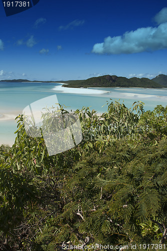 Image of Whitehaven Beach, Australia