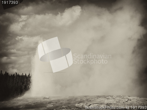 Image of Old Faithful, Yellowstone National Park