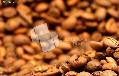 Image of  coffee beans