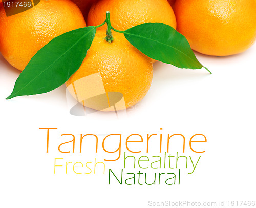 Image of Tangerine