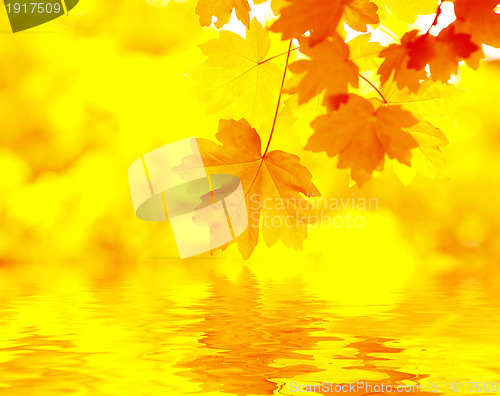 Image of Autumn Background