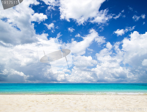 Image of  sea