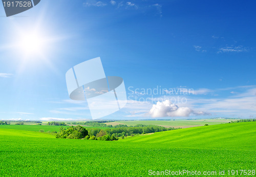 Image of green field and blue sky
