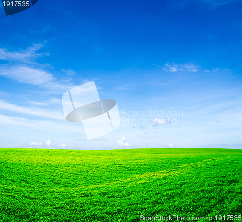 Image of field