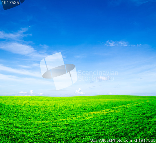 Image of field