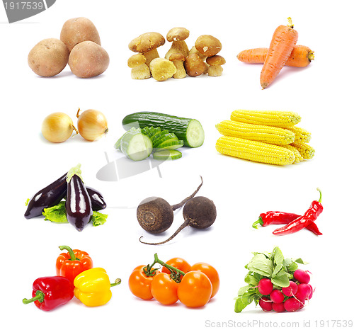 Image of collection vegetables