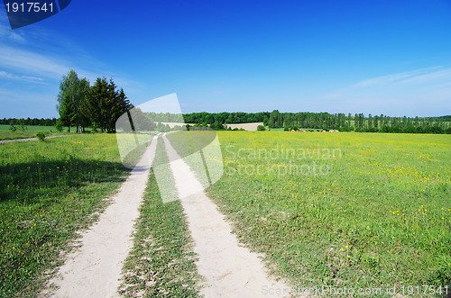 Image of field 
