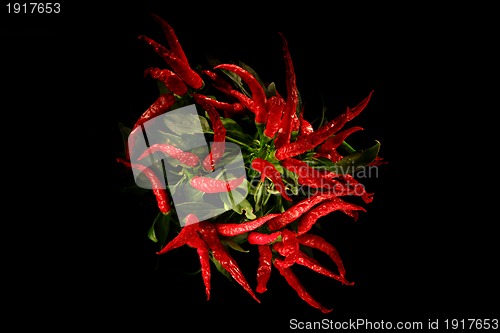 Image of chili isolated on the black