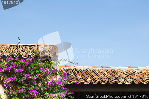 Image of Tile roof and purple flowers