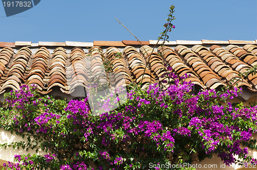 Image of Tile roof and purple flowers