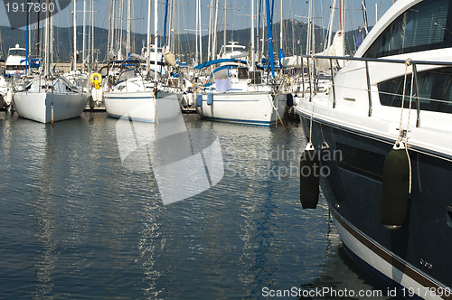 Image of Anchored yachts in St. Tropez 