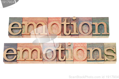 Image of emotion in wood type