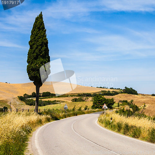 Image of Road in Tuscany