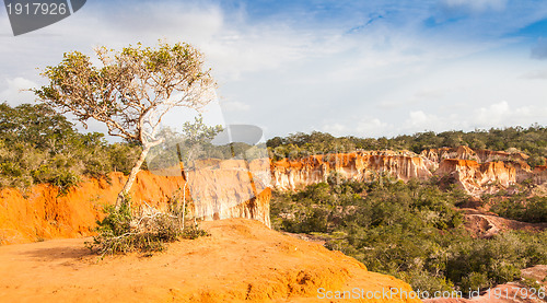 Image of Marafa Canyon - Kenya