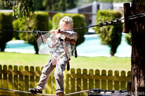 Image of little boy at a canopy tour