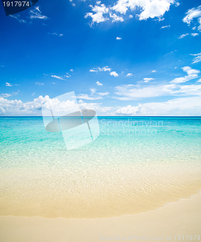 Image of  sea