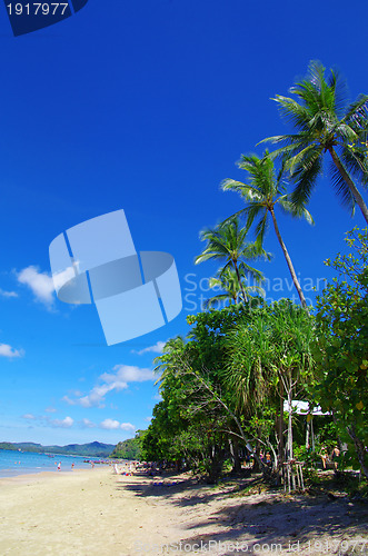 Image of  tropical sea