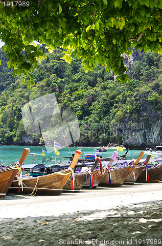 Image of Tropical beach