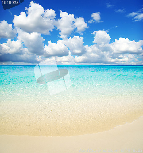 Image of  sea