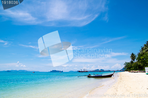 Image of Tropical beach