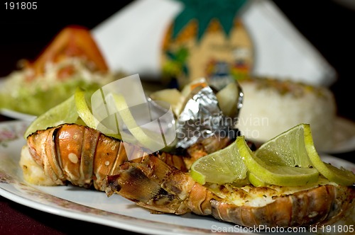 Image of caribbean lobster tail