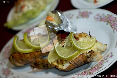 Image of caribbean lobster tail