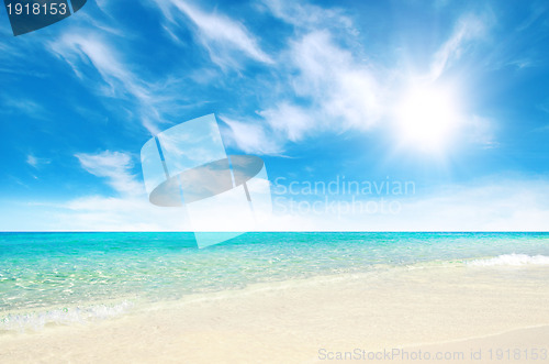 Image of beautiful beach and tropical sea