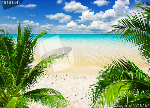 Image of  sea