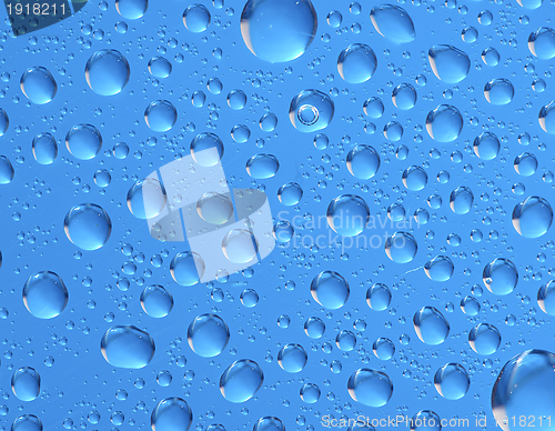 Image of Water drops