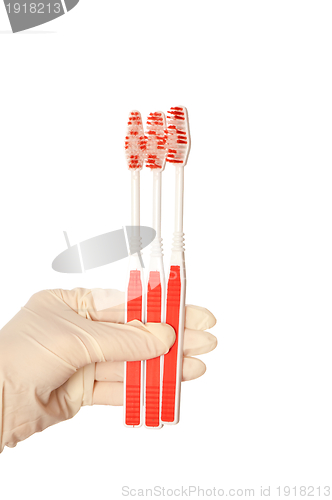 Image of toothbrushes