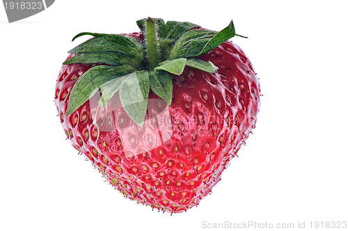 Image of strawberry