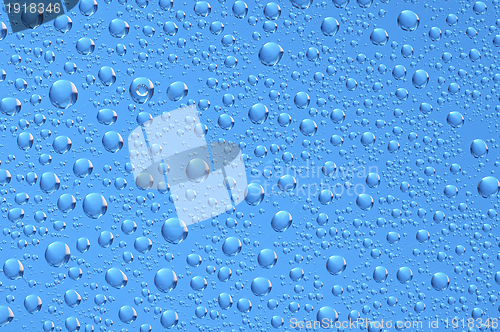 Image of Water drops