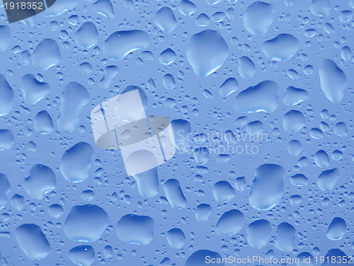 Image of Water bubbles