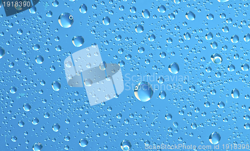 Image of Water drops