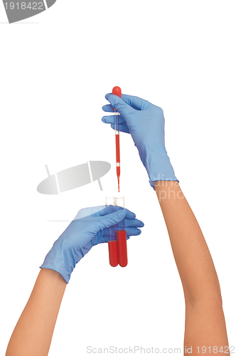 Image of blood test