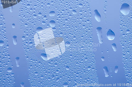 Image of Water drops