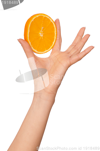 Image of orange