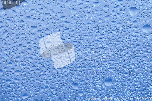 Image of Water bubbles