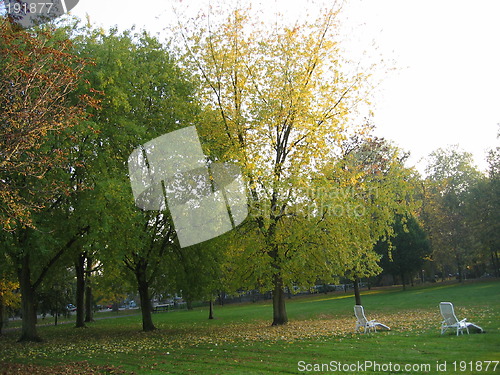 Image of Autumn trees in park