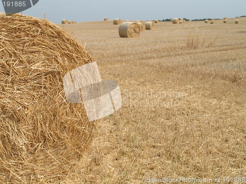 Image of bales of straw