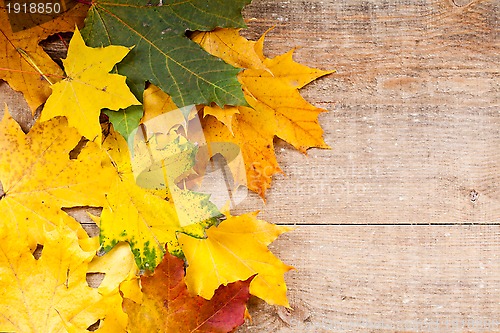 Image of autumn leaves over wooden background 