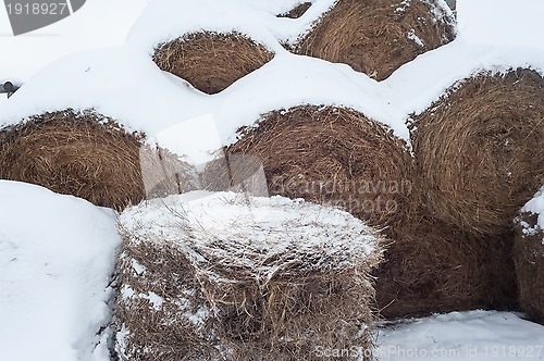 Image of haystack in winter