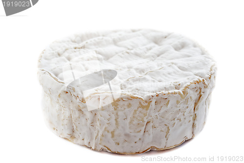 Image of camember cheese