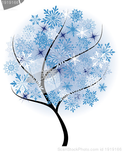 Image of Winter tree